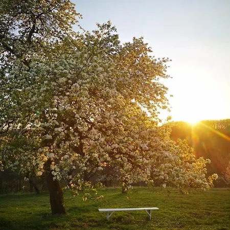 Vikendica Domacinstvo Pajovic Gornji Milanovac