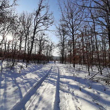 Domacinstvo Pajovic Gornji Milanovac