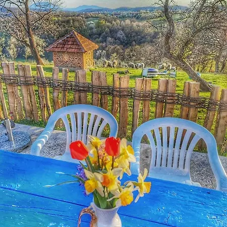 Domacinstvo Pajovic Vakantiehuis Gornji Milanovac