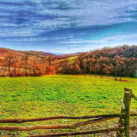 Domacinstvo Pajovic Dom wakacyjny