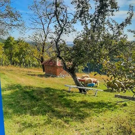 Vikendica Domacinstvo Pajovic *