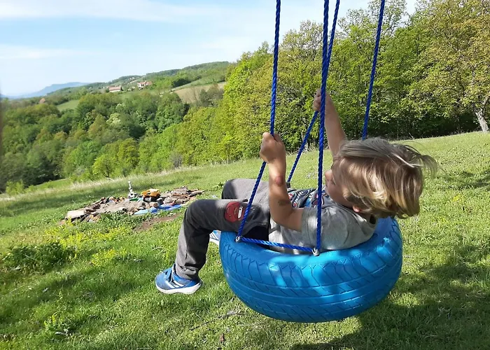 Case de vacanță Domacinstvo Pajovic Gornji Milanovac