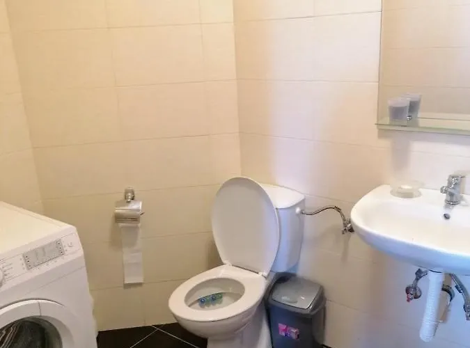 Domacinstvo Pajovic Case de vacanță Gornji Milanovac