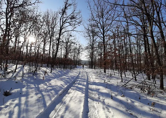 Domacinstvo Pajovic Gornji Milanovac