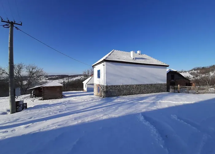 Case de vacanță Domacinstvo Pajovic *