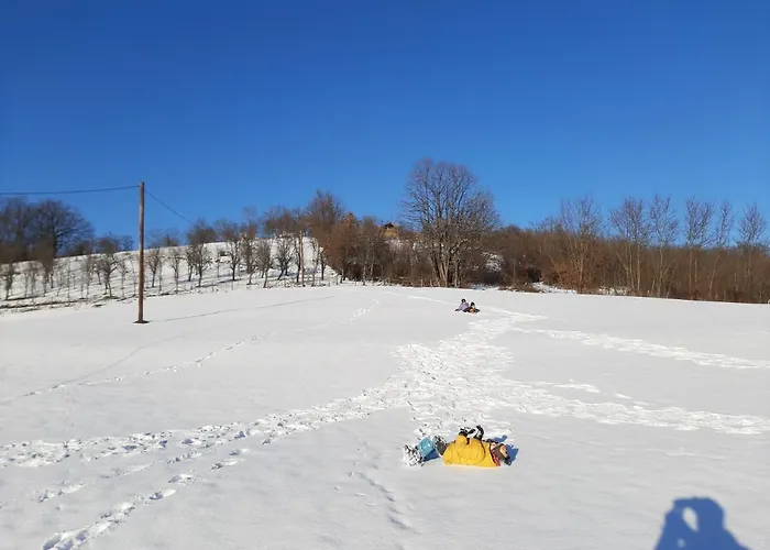 Case de vacanță Domacinstvo Pajovic Gornji Milanovac