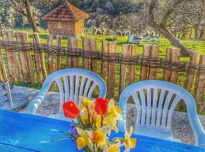 Domacinstvo Pajovic Case de vacanță Gornji Milanovac