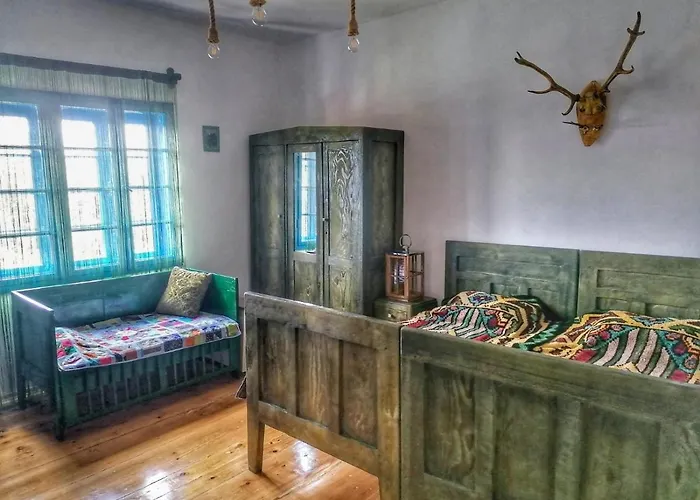 Case de vacanță Domacinstvo Pajovic *