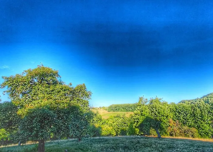 Domacinstvo Pajovic Case de vacanță