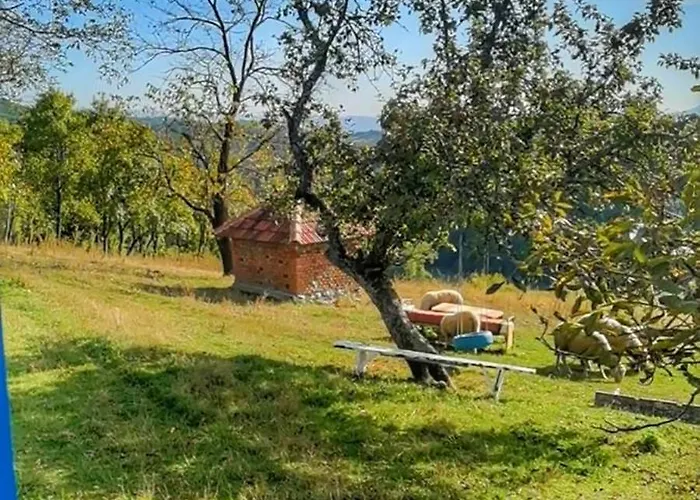 Case de vacanță Domacinstvo Pajovic *