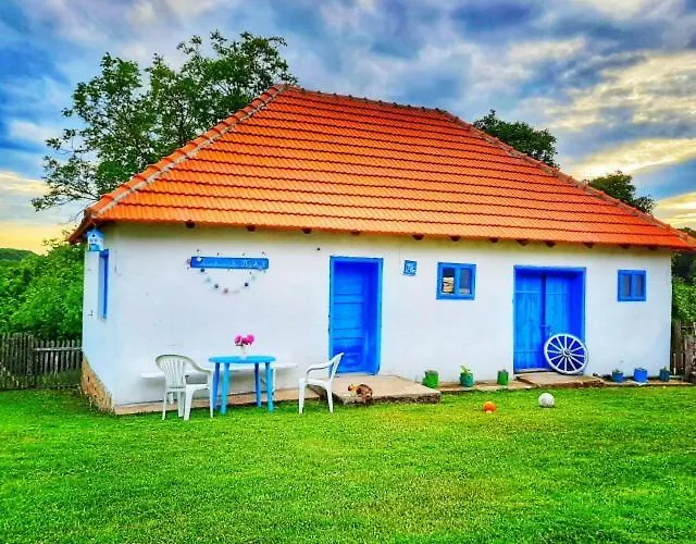 Case de vacanță Domacinstvo Pajovic Gornji Milanovac